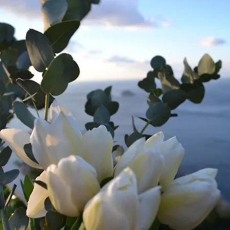 Casa La Bifora * Positano